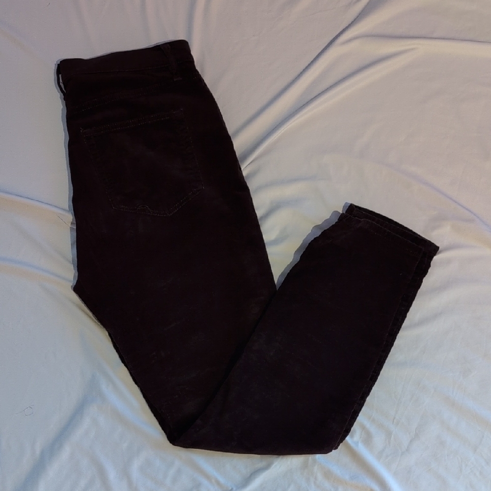 LOFT Deep Purple Pants